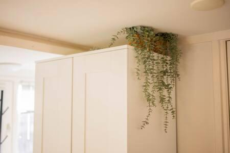 Peaceful 2 Bedroom Apartment - Ts307B Eindhoven Buitenkant foto